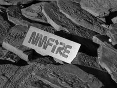 Consultores do Japão e da Indonésia visitam o NMFIRE