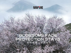 DE NMFIRE FOGO NÃO MAIS